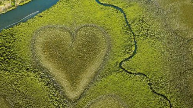 ヴォーのハート・ヘリ遊覧