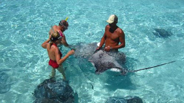 セミプライベート・シュノーケリング・サファリ（半日ツアー）
