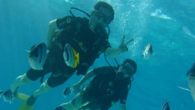 ヒロダイブボラボラ・体験ダイビング ダイブ・スイートメモリー (日本語ガイド付き/ビデオ撮影あり）