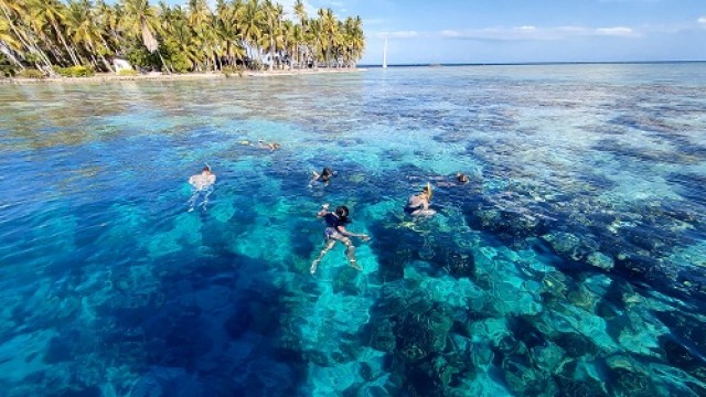 モツピクニック（リーフアイランドツアー）