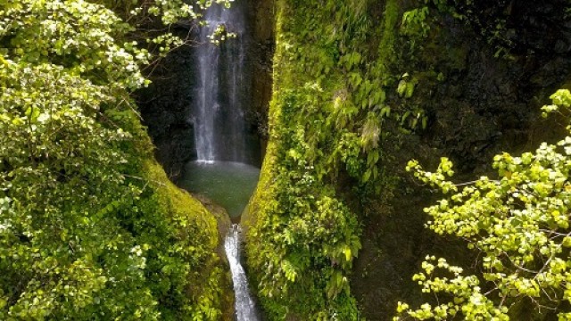 ３つの滝を巡るトレッキング（スリーカスケード）