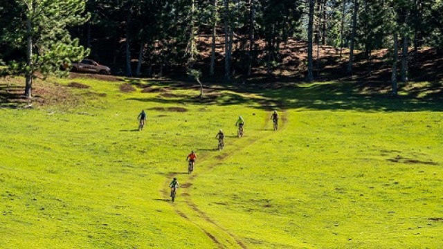 ヌクヒバ島ガイド付き E-バイクツアー（1日/ Kaikai ランチ付き）