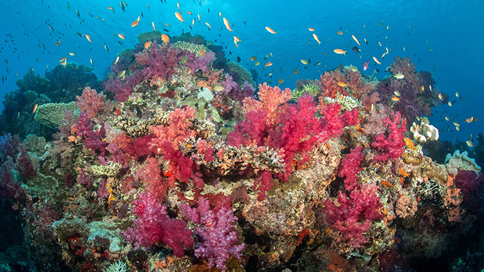 タベウニ島