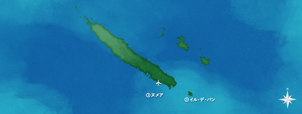 トーホートラベル ダイビング ニューカレドニア