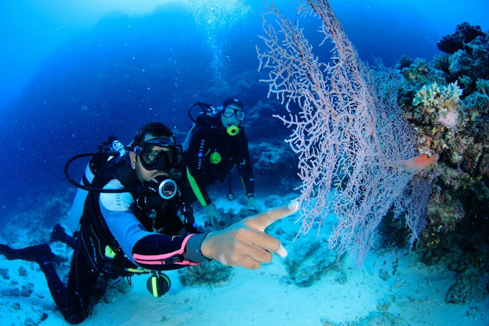 世界遺産の海でダイビング