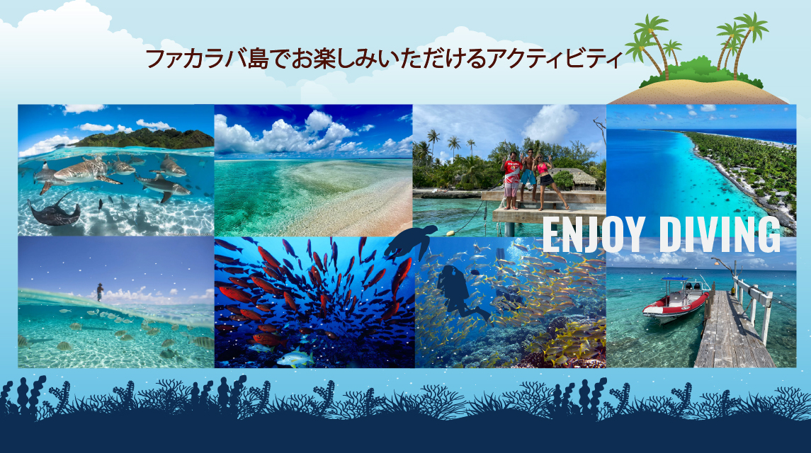 ファカラバ島でお楽しみいただけるアクティビティ