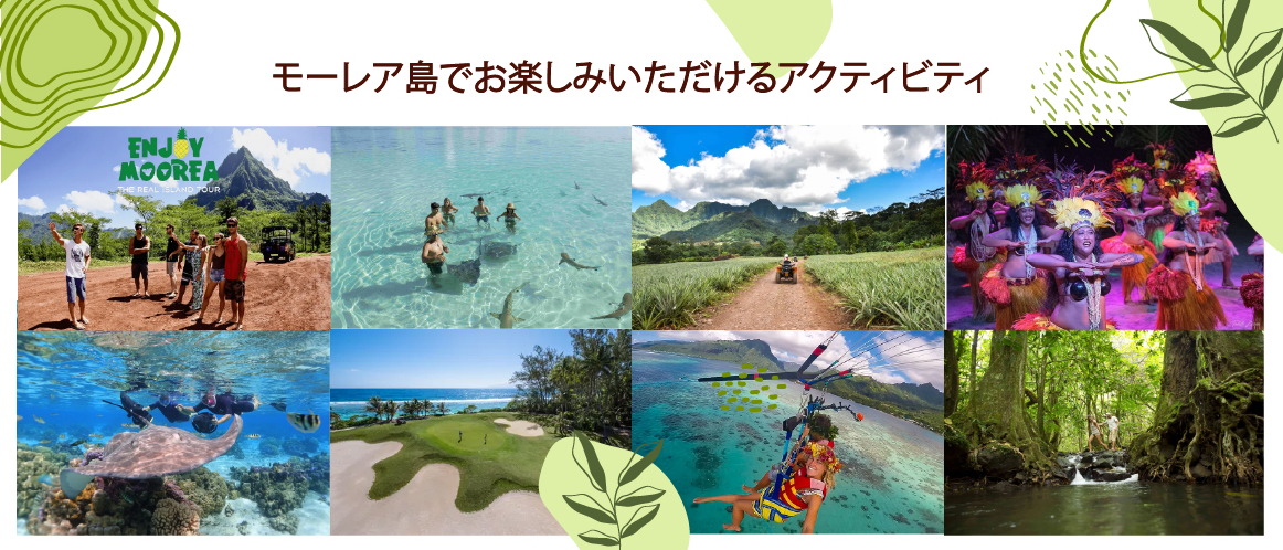 モーレア島でお楽しみいただけるアクティビティ