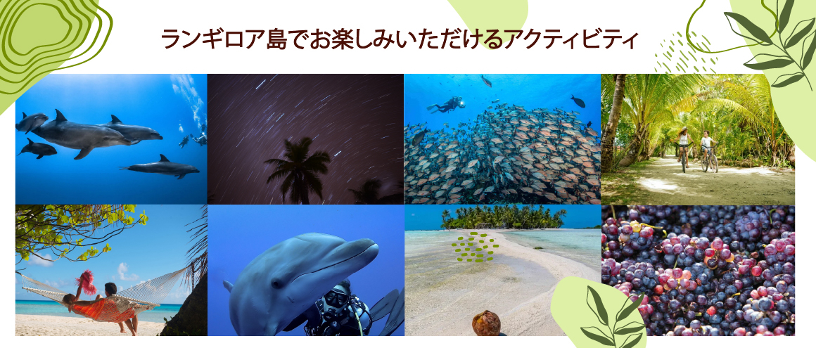 ランギロア島でお楽しみいただけるアクティビティ