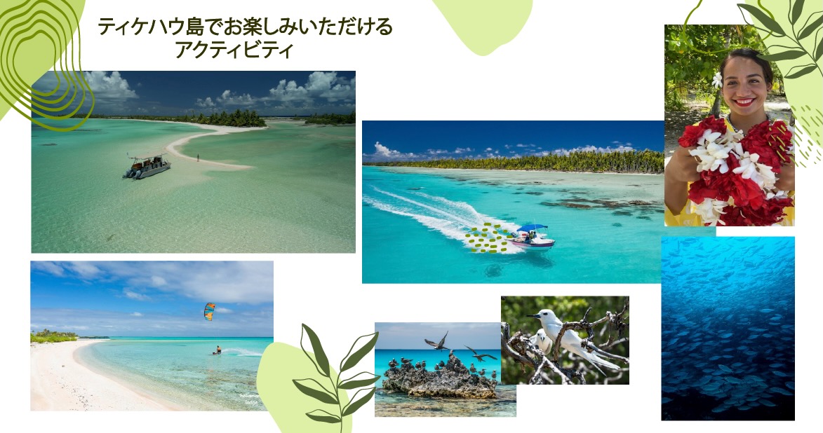 ティケハウ島でお楽しみいただけるアクティビティ