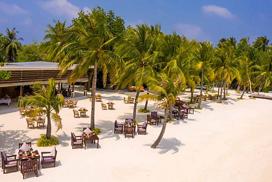 サング ビーチ アンド バー / Sangu Beach And Bar