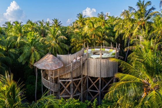 フライング・ソーシズ / Flying Sauces