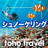 ニューカレドニア シュノーケリングのおすすめのツアー特集