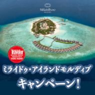 透明な海で過ごす至福時間 『ミライドゥ・アイランドモルディブ』