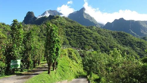 「タヒチ島 山」の画像検索結果